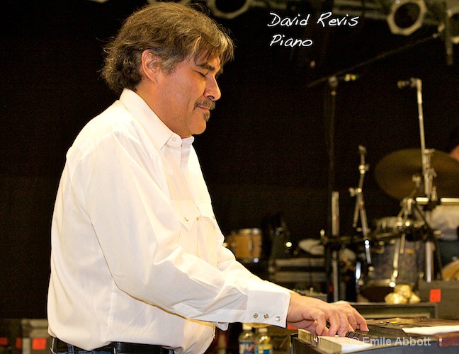 David Revis, Piano - ID: 8419117 © Emile Abbott