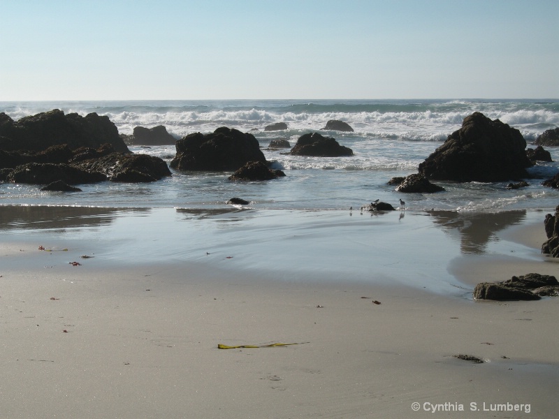 Sand and Sea - ID: 8419680 © Cynthia S. Lumberg