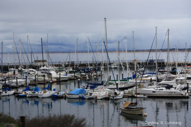 Monterey Bay,CA - ID: 8420344 © Cynthia S. Lumberg
