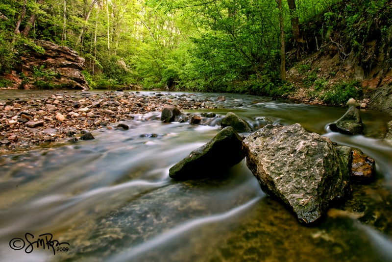 The Creek at Alum Spring Park