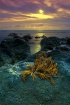Ecology Change