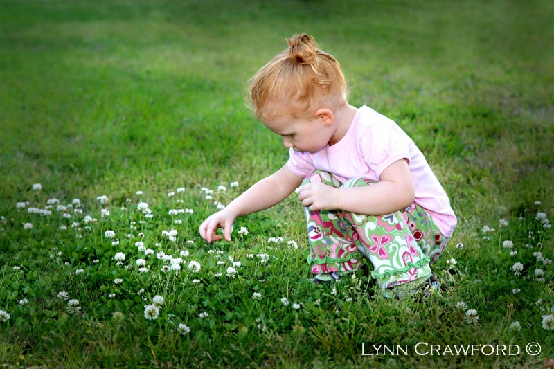 Weeds Of Beauty - When Given With Love