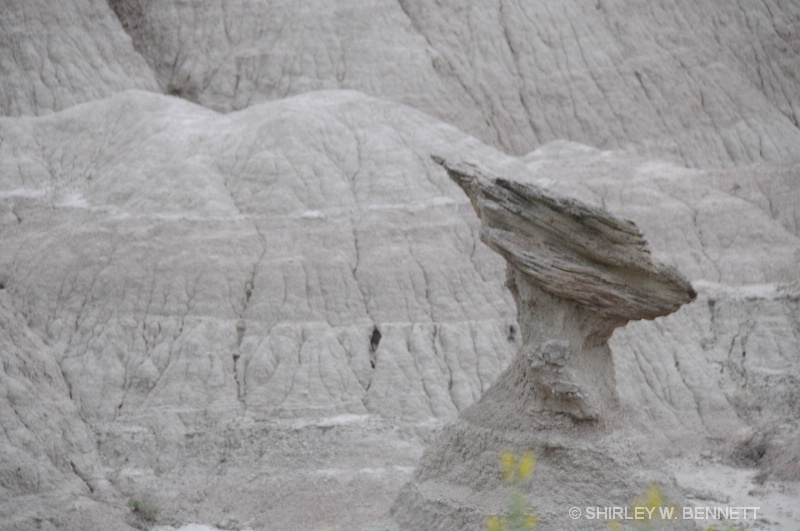 BADLANDS, SD - ID: 8430993 © SHIRLEY MARGUERITE W. BENNETT