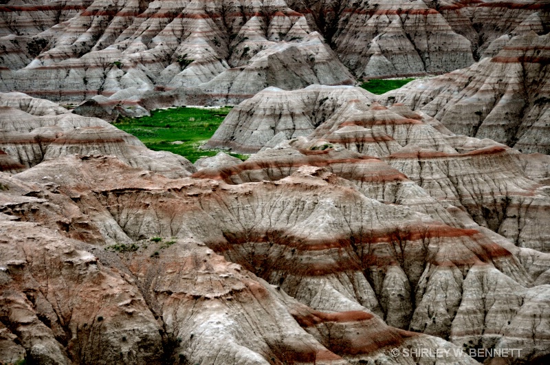 BADLANDS, SD - ID: 8431012 © SHIRLEY MARGUERITE W. BENNETT