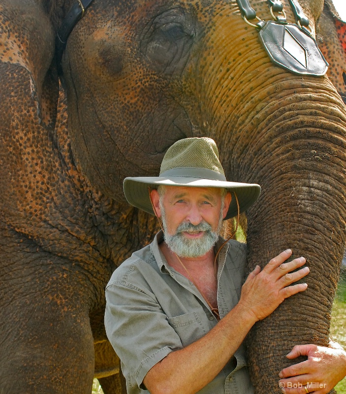 The Elephant Trainer - ID: 8431167 © Bob Miller