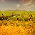 © Emile Abbott PhotoID # 8431470: hunter-gathers of Seminole Canyon