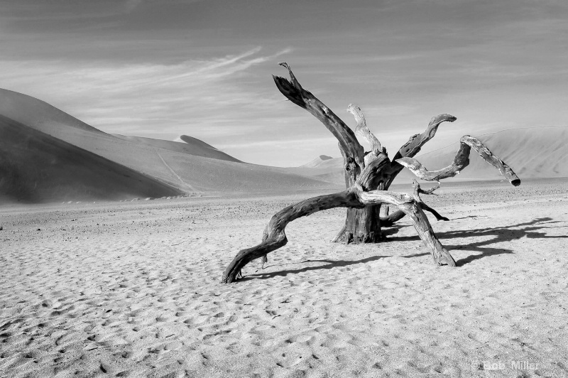 Desert Vista #3- Namibia - ID: 8431994 © Bob Miller