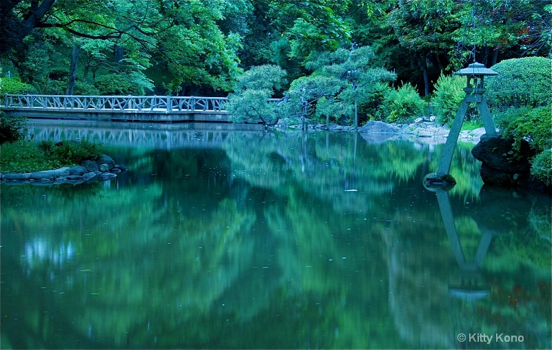 Lantern and Pond at Arisugawa - ID: 8435209 © Kitty R. Kono