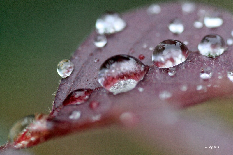 Droplets