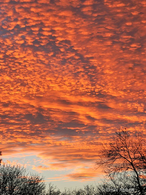 Big Sky of West Texas, Val Verde Co. - ID: 8438826 © Emile Abbott