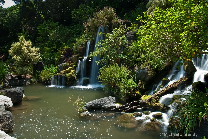 Arboretum Waterfall 2
