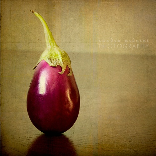 The Elegant Eggplant