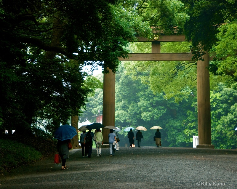 Meiji Shrine with Three Umbrellas
