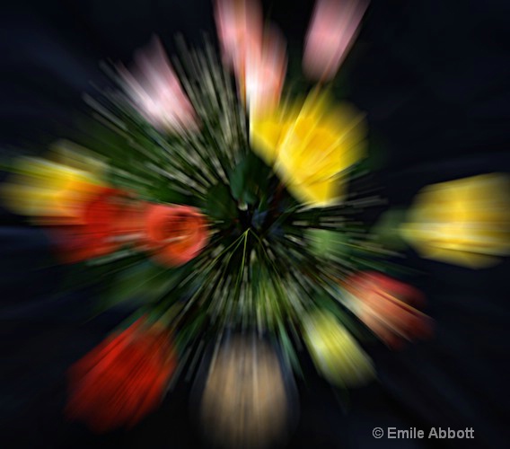 Explosion of Color - ID: 8466743 © Emile Abbott