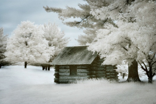 Log Cabin at Valley Forge Historica Park