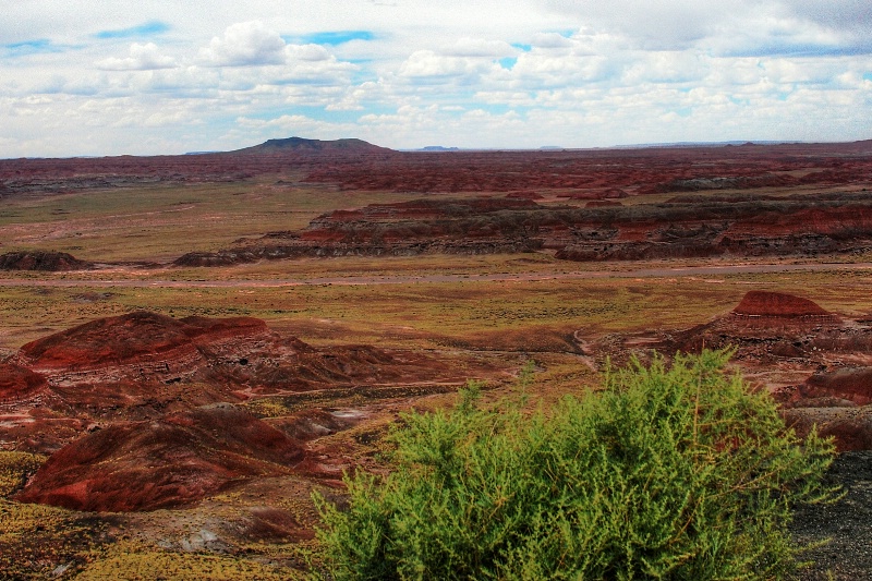 The Painted Desert