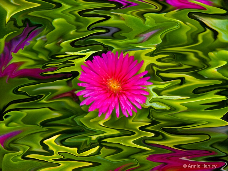 Pink flower - ID: 8481209 © Ana Hanley