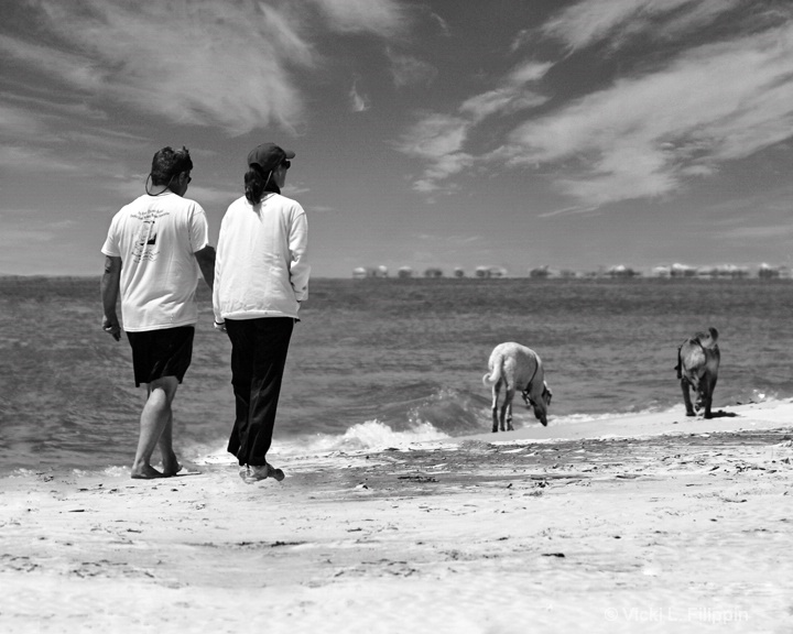 Beach Lovers