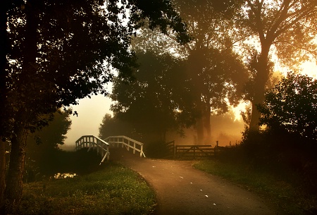 Bridge to Nowhere....