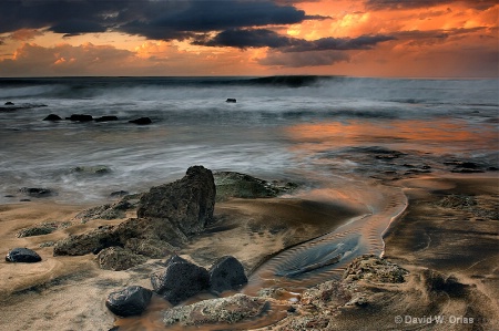 Kaena Point Shoreline