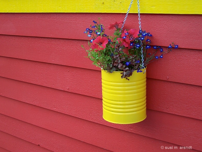 Wall Flowers