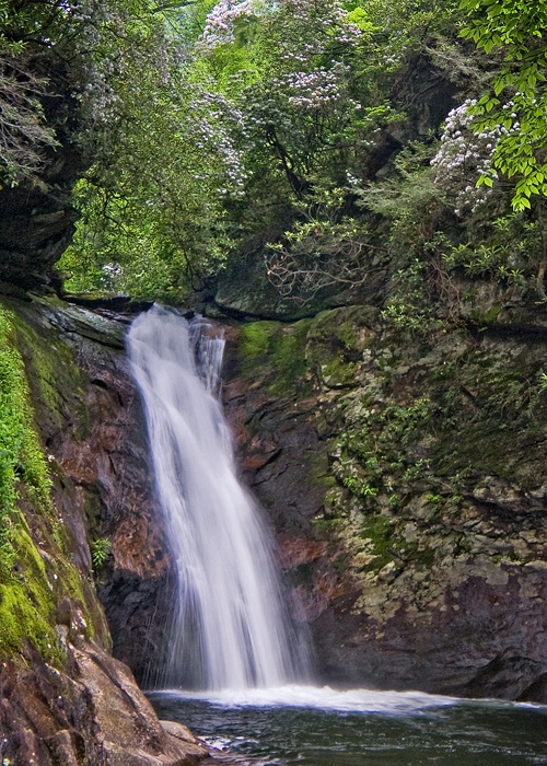 Courthouse Falls, Transylvania County, NC - ID: 8507833 © george w. sharpton