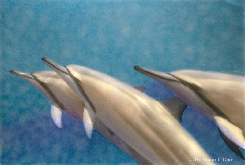 Three Spinner Dolphins, hand colored