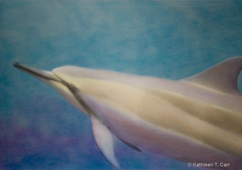 Spinner Dolphin, hand colored