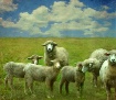 The Gathering