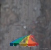 Love the Umbrella