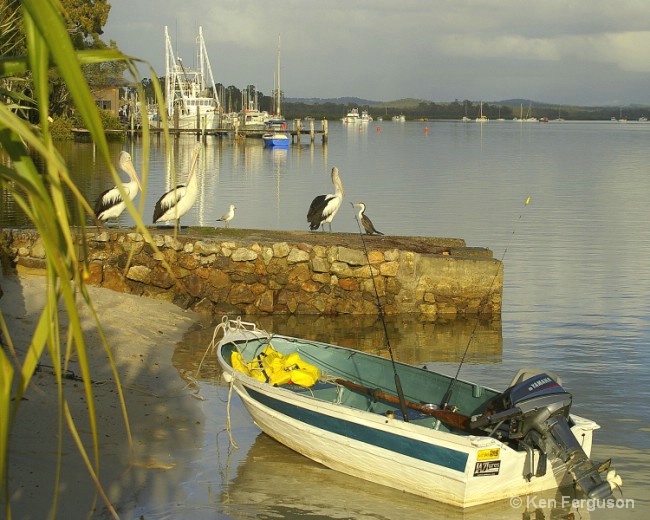 On Common Ground at Tin Can Bay, Qld, Aust.