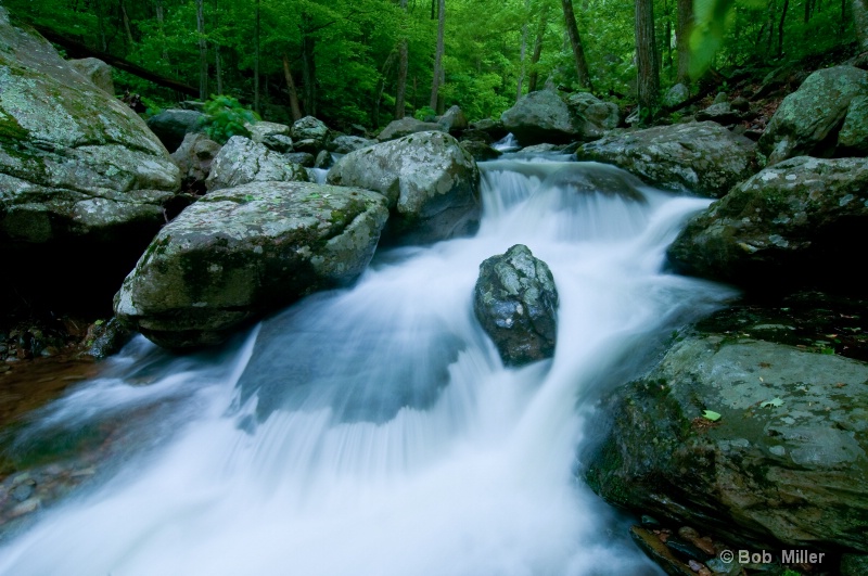 Whiteoak Canyon- Shenandoah Va. - ID: 8539223 © Bob Miller