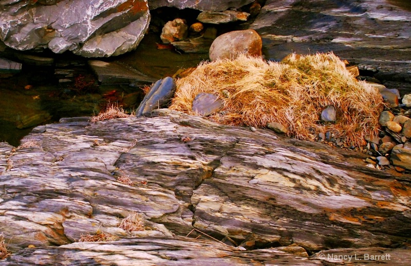 Still Life with Beach Grass