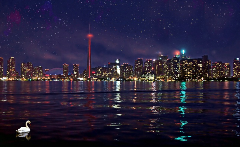 Toronto Skyline Night