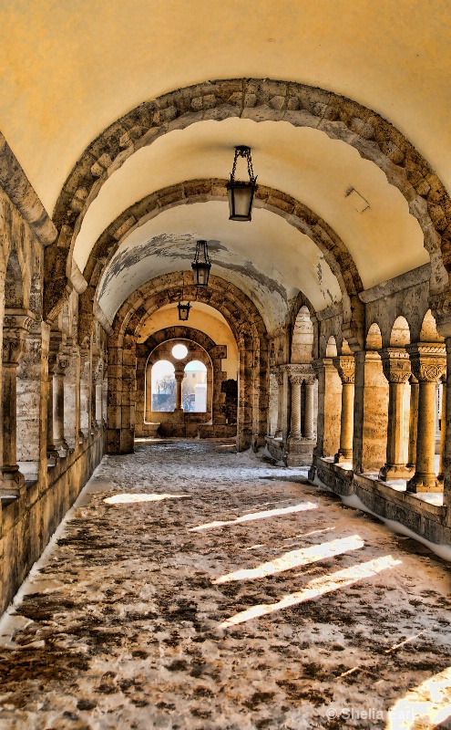 Walkway to Church@@Composition - ID: 8541349 © Shelia Earl