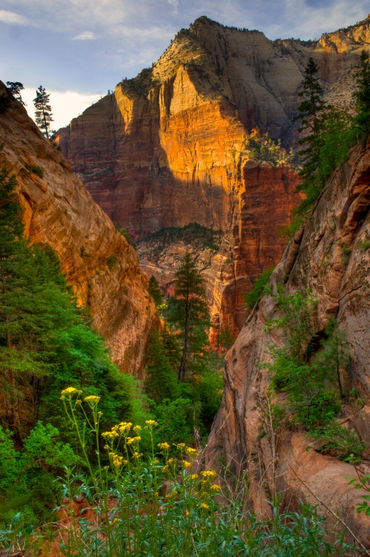 Sunset Down the Canyon