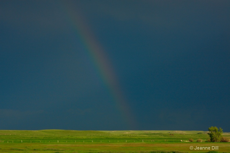 Ranch Rainbow