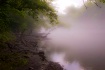 Clinch River fog