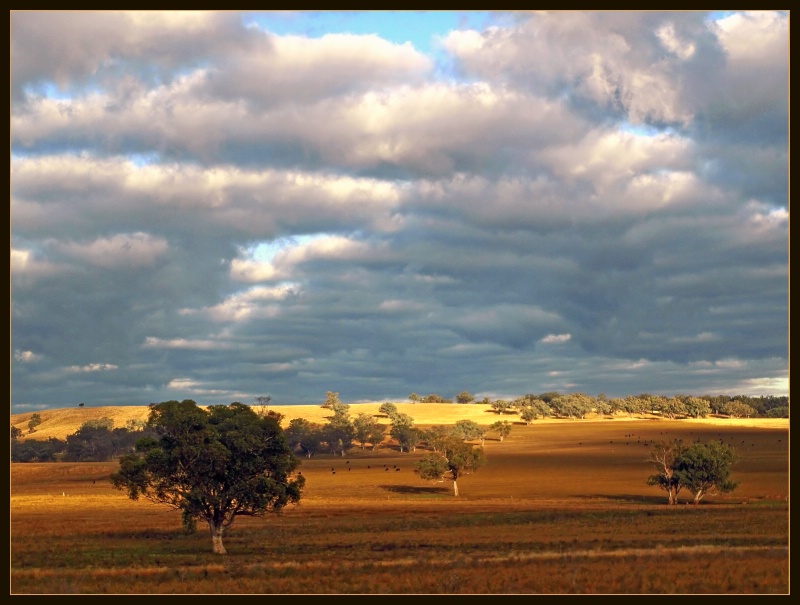 * Rural Tranquility #2 *