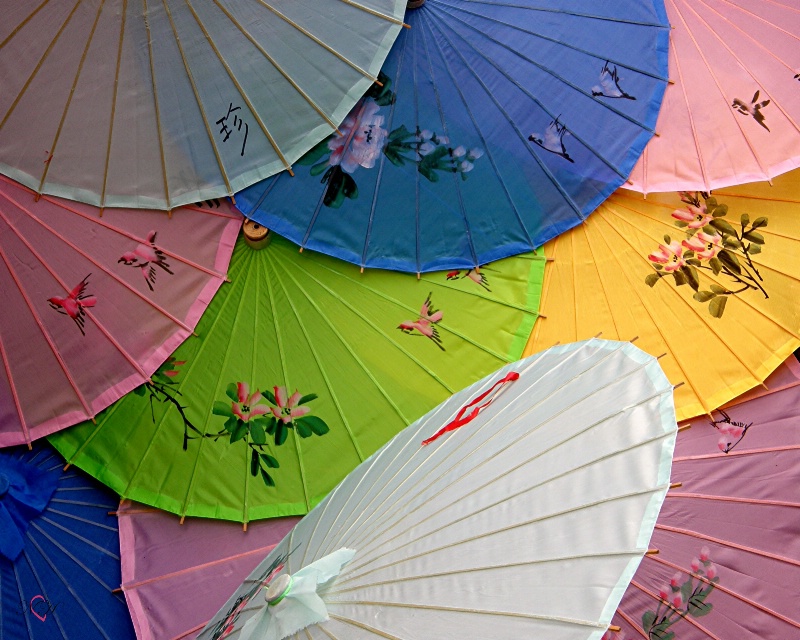 Sun Parasols