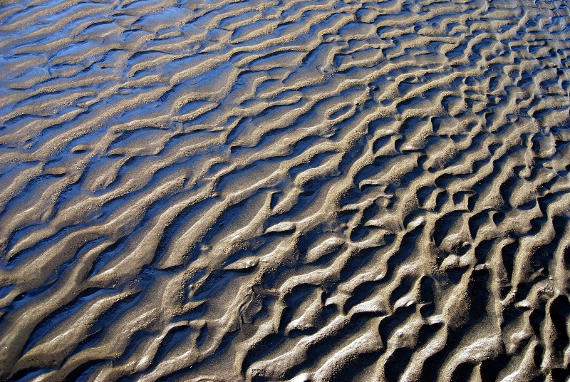 Sand Waves