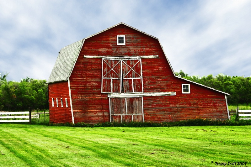Born in a Barn