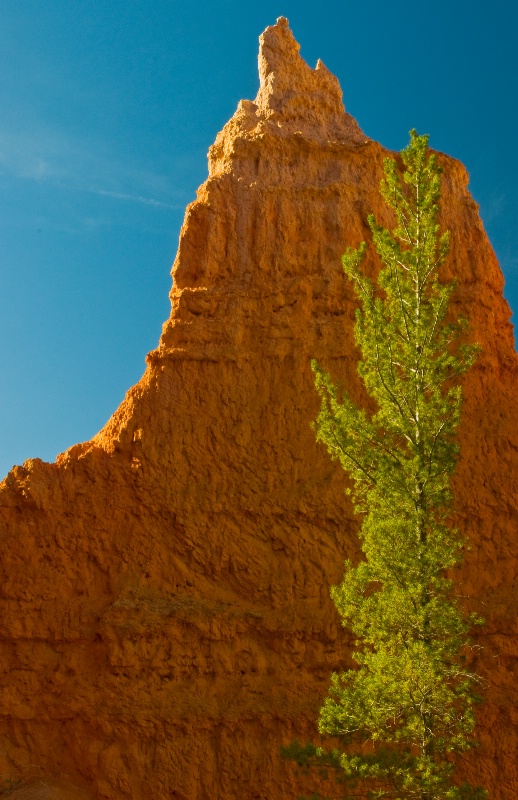 Bryce Illumination