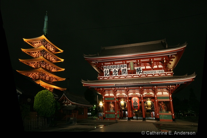 Asakusa Temple at Night and Pagoda