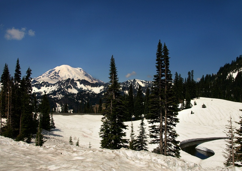 Mt Rainier from Chinook Pass in June