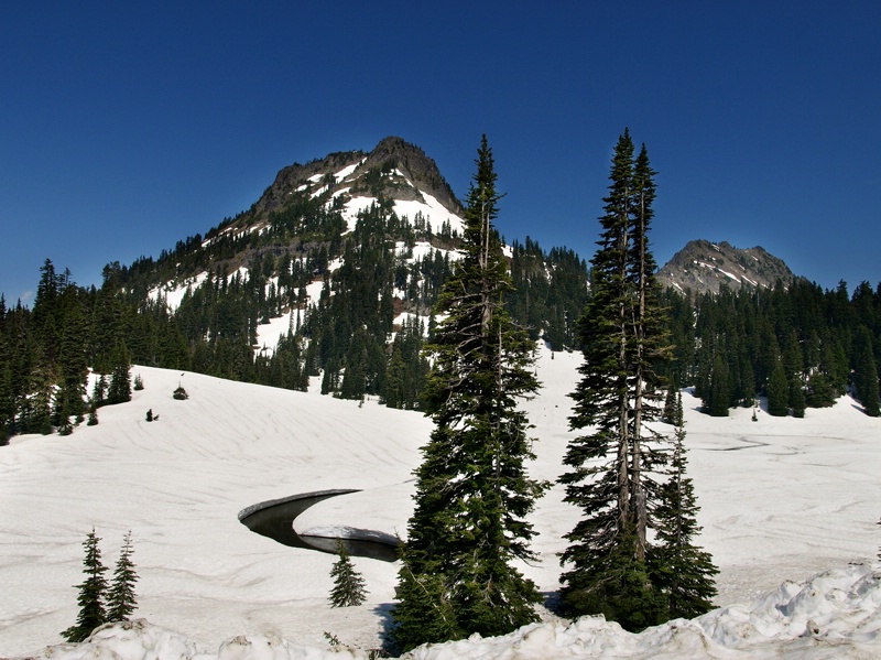 Chinook Pass in June