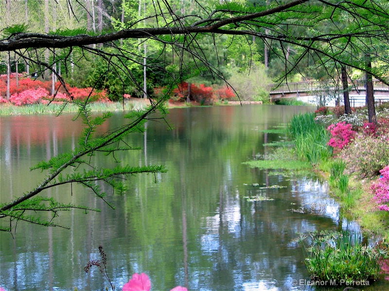 "GARDENS OF AZALEA"