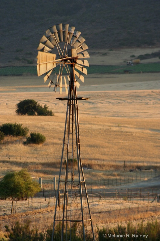 Windmill at Rancho Santa Marta (7872)