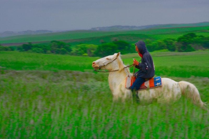 Crazy Horse Rider 09