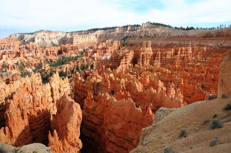 VIEW OF BRYCE CANYON - ID: 8583593 © SHIRLEY MARGUERITE W. BENNETT